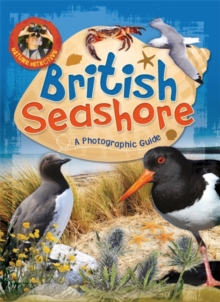 Nature Detective: British Seashore, Paperback / softback Book Nature Detective: British Seashore, Paperback / softback Book