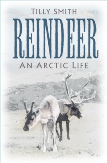 Reindeer : An Arctic Life, Hardback Book Reindeer : An Arctic Life, Hardback Book