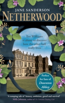 Netherwood : The Hoyland Family Has Its Secrets. Their Employees Know Them All., Paperback Book Netherwood : The Hoyland Family Has Its Secrets. Their Employees Know Them All., Paperback Book