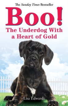 Boo! : The Underdog With a Heart of Gold, Paperback Book Boo! : The Underdog With a Heart of Gold, Paperback Book