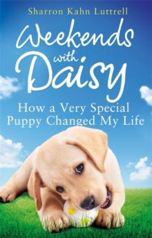 Weekends with Daisy : How a Very Special Puppy Changed My Life, Paperback Book Weekends with Daisy : How a Very Special Puppy Changed My Life, Paperback Book