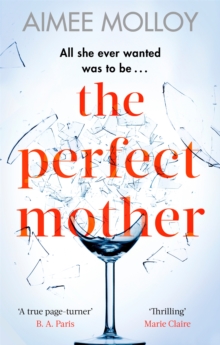 The Perfect Mother : A gripping thriller with a nail-biting twist