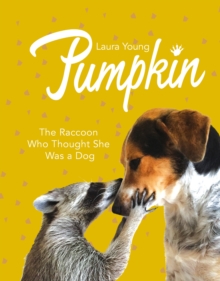 Pumpkin: The Raccoon Who Thought She Was a Dog, Hardback Book Pumpkin: The Raccoon Who Thought She Was a Dog, Hardback Book