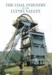 The Llynfi Valley Coal Industry : A History, Paperback / softback Book The Llynfi Valley Coal Industry : A History, Paperback / softback Book