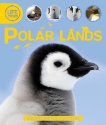 Life Cycles: Polar Lands, Paperback Book Life Cycles: Polar Lands, Paperback Book
