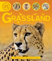 Life Cycles: Grassland, Paperback Book Life Cycles: Grassland, Paperback Book