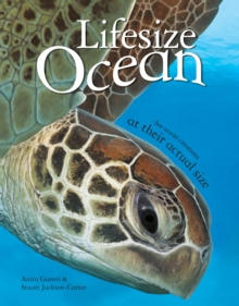 Lifesize Ocean, Hardback Book Lifesize Ocean, Hardback Book