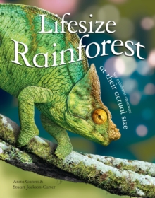 Lifesize Rainforest, Hardback Book Lifesize Rainforest, Hardback Book