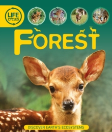 Life Cycles: Forest, Paperback Book Life Cycles: Forest, Paperback Book