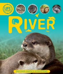 Life Cycles: River, Paperback Book Life Cycles: River, Paperback Book