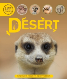 Life Cycles: Desert, Paperback Book Life Cycles: Desert, Paperback Book