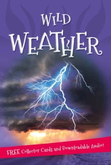 It's All About... Wild Weather, Paperback Book It's All About... Wild Weather, Paperback Book