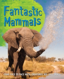 Fast Facts! Fantastic Mammals, Paperback / softback Book Fast Facts! Fantastic Mammals, Paperback / softback Book