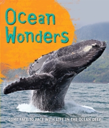 Fast Facts! Ocean Wonders, Paperback Book Fast Facts! Ocean Wonders, Paperback Book