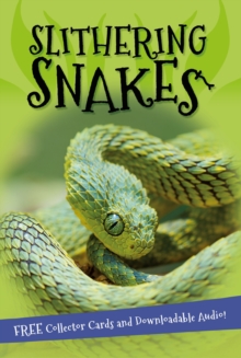 It's all about... Slithering Snakes, Paperback Book It's all about... Slithering Snakes, Paperback Book