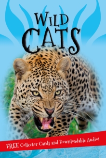 It's all about... Wild Cats, Paperback / softback Book It's all about... Wild Cats, Paperback / softback Book