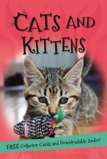 It's all about... Cats and Kittens, Paperback / softback Book It's all about... Cats and Kittens, Paperback / softback Book