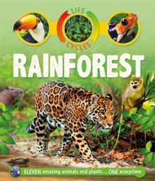 Life Cycles: Rainforest, Paperback / softback Book Life Cycles: Rainforest, Paperback / softback Book