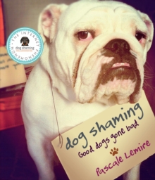 Dog Shaming, Hardback Book Dog Shaming, Hardback Book