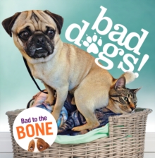 Bad Dogs, Hardback Book Bad Dogs, Hardback Book