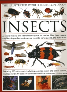 The Illustrated World Encyclopaedia of Insects : A Natural History and Identification Guide to Beetles, Flies, Bees Wasps, Springtails, Mayflies, Stoneflies, Dragonflies, Damselflies, Cockroaches, Man