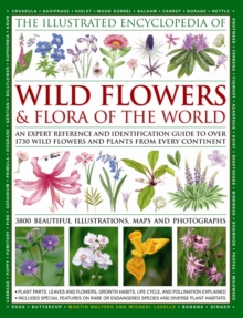 The Illustrated Encyclopaedia of Wild Flowers and Flora of the World : An Expert Reference and Identification Guide to Over 1730 Wild Flowers and Plants from Every Continent and 3800 Illustrations and, Hardback Book The Illustrated Encyclopaedia of Wild Flowers and Flora of the World : An Expert Reference and Identification Guide to Over 1730 Wild Flowers and Plants from Every Continent and 3800 Illustrations and, Hardback Book