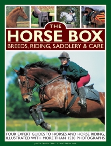 Horse Box: Breeds, Riding, Saddlery & Care