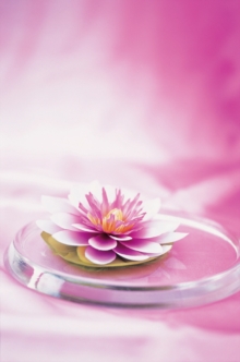 Memo Block Waterlily, Other printed item Book Memo Block Waterlily, Other printed item Book