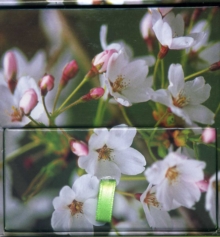 Memo Block Cherry Blossom, Other printed item Book Memo Block Cherry Blossom, Other printed item Book