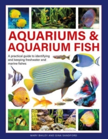 Aquariums & Aquarium Fish : A practical guide to identifying and keeping freshwater and marine fishes