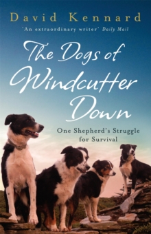 The Dogs of Windcutter Down, Paperback / softback Book The Dogs of Windcutter Down, Paperback / softback Book