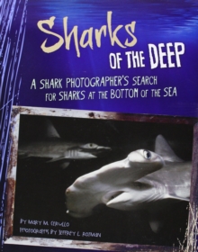 Shark Expedition: Sharks of the Deep, Paperback / softback Book Shark Expedition: Sharks of the Deep, Paperback / softback Book