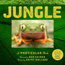 Jungle, Hardback Book Jungle, Hardback Book