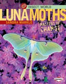 Luna Moths : Masters of Change