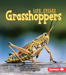 Grasshoppers