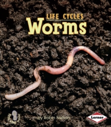 Worms