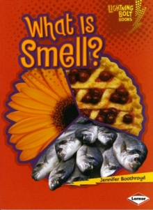 What is Smell?, Paperback / softback Book What is Smell?, Paperback / softback Book
