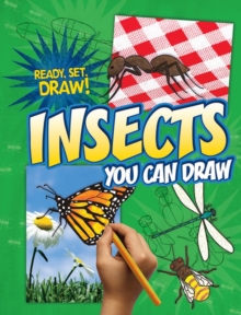 Insects You Can Draw