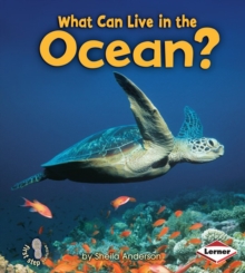 What Can Live in the Ocean?