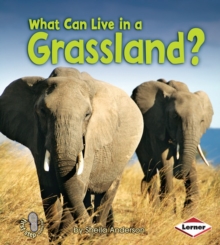 What Can Live in a Grassland?