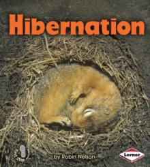 Hibernation