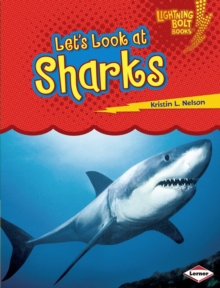 Let's Look at Sharks