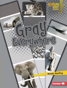 Gray Everywhere