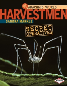 Harvestmen : Secret Operatives