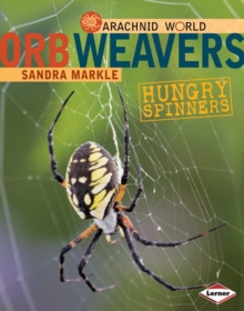 Orb Weavers : Hungry Spinners