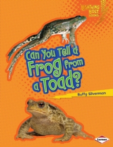 Can You Tell a Frog from a Toad?