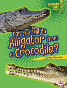 Can You Tell an Alligator from a Crocodile?