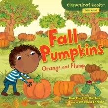 Fall Pumpkins : Orange and Plump