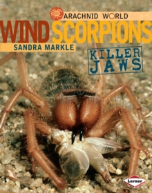 Wind Scorpions : Killer Jaws