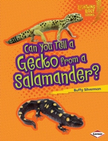 Can You Tell a Gecko from a Salamander?